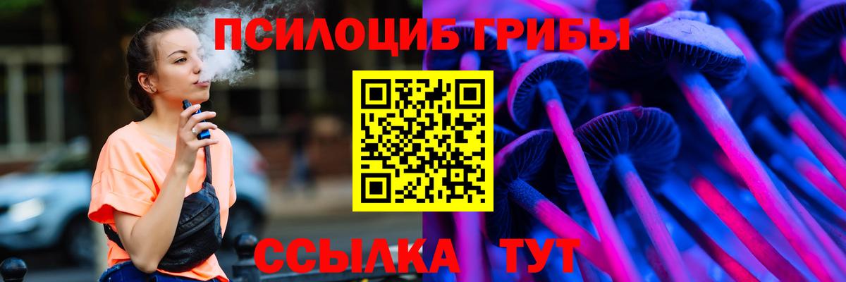 Куйбышев  купить  сайты  Вход с VPN  Псилоцибиновые грибы Magic Shrooms 